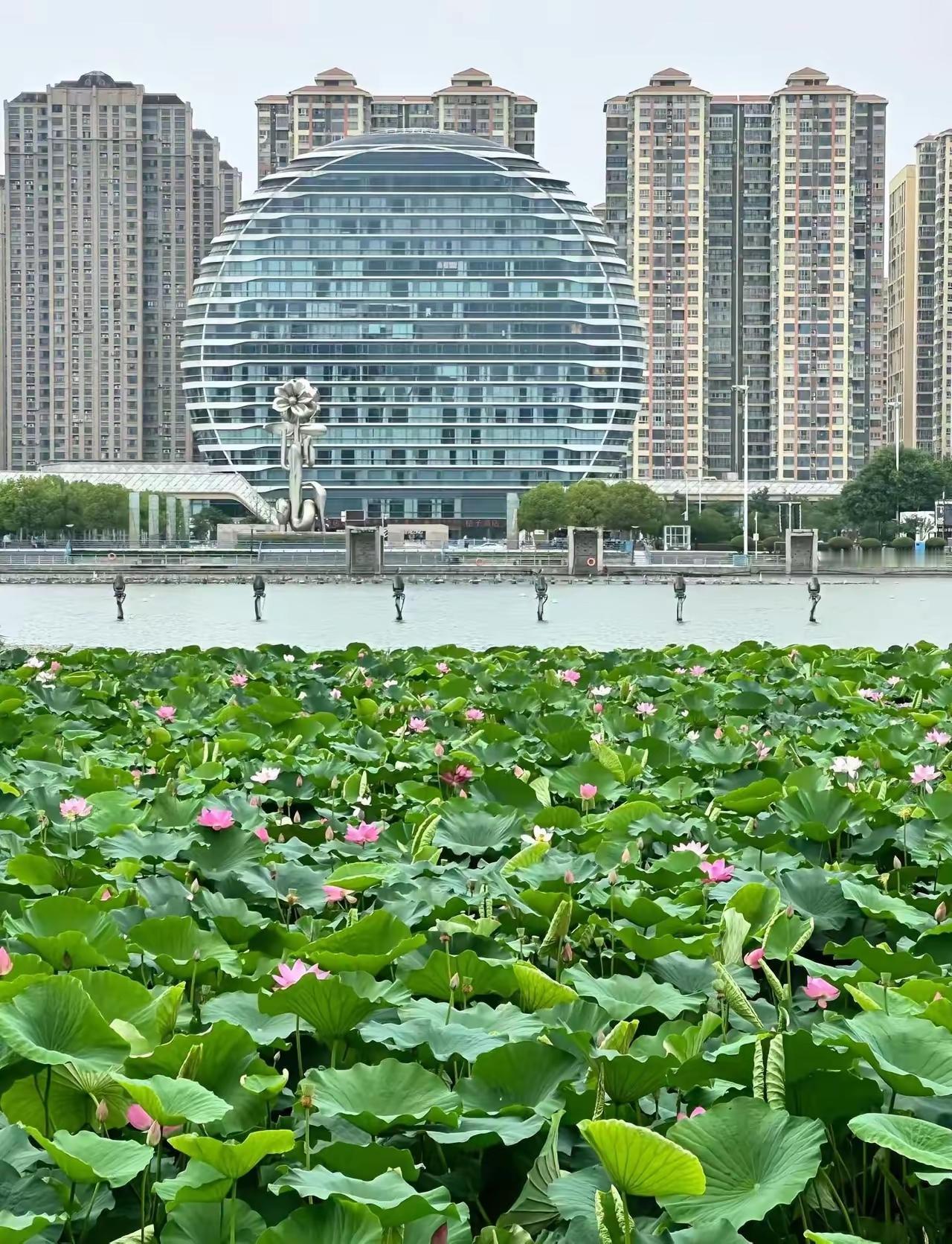 分享随手拍风景照