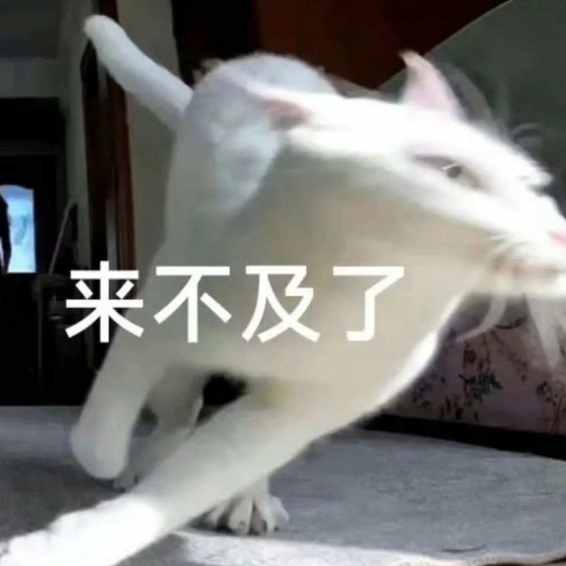 此刻 Beautiful 和 Ain't Got No Love 因非嫡专所出后