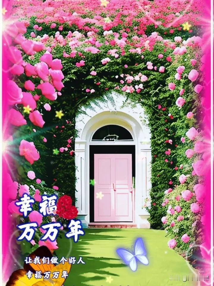 夏日生活打卡季繁花似锦的世界