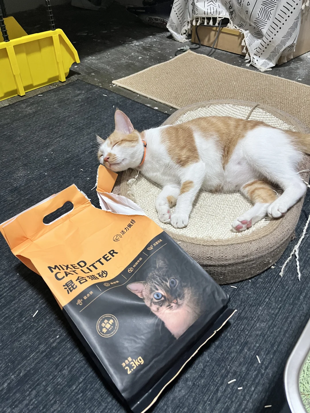 🐾【怀民推荐】活力佩特混合猫砂｜硬广来啦