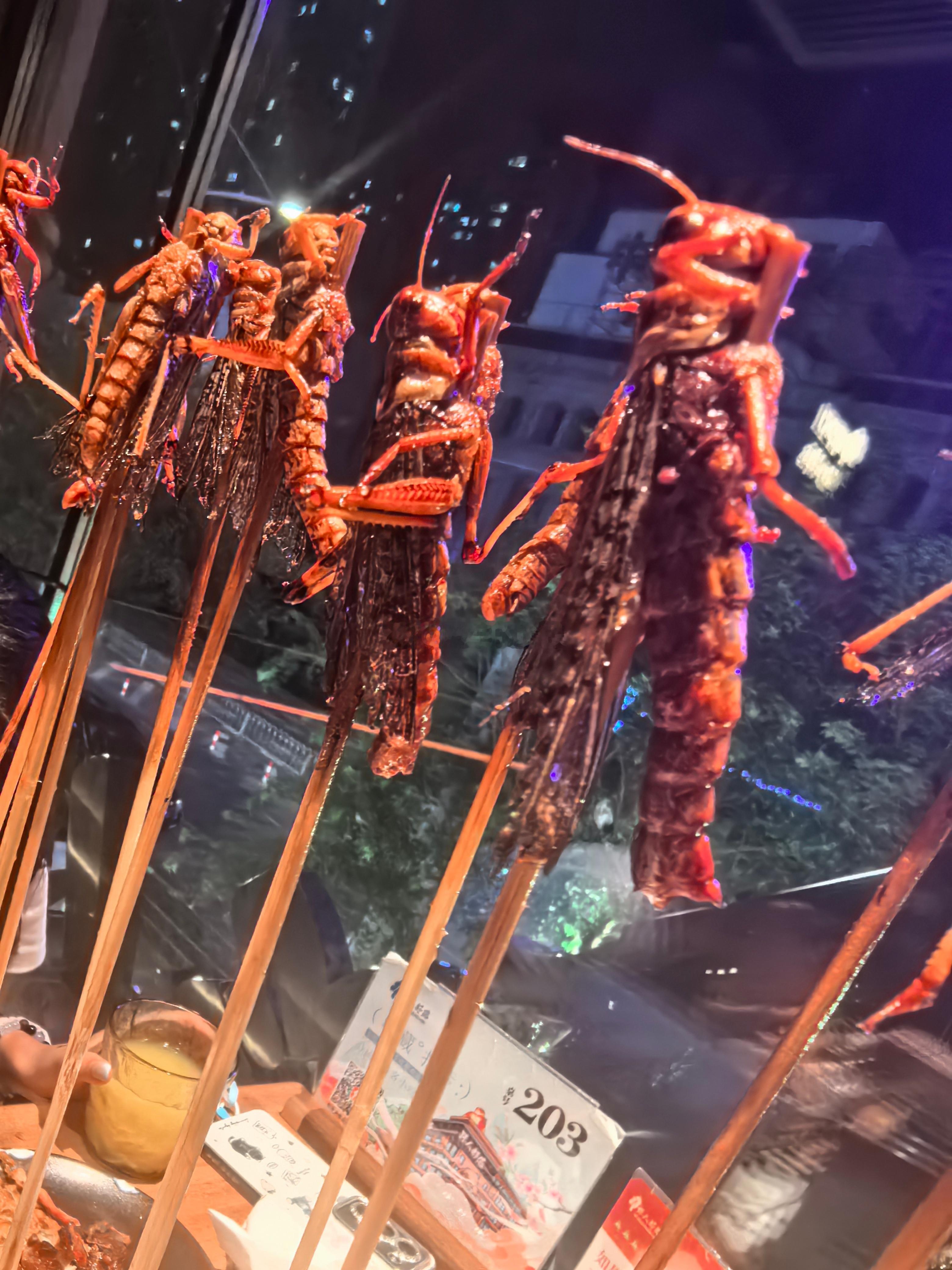沈阳，确实挺带劲啊 沈阳