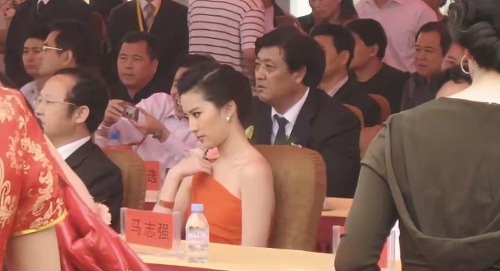 刘亦菲