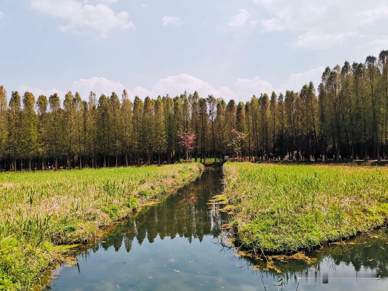 在昆明滇池周边众多的湿地公园中，有一座我挺喜欢的美丽公园，名叫“捞鱼河”。
它位