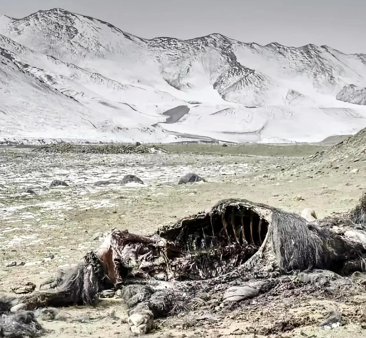 昆仑山山谷为什么被人们称之为"死亡之谷”和″地狱之门”？

昆仑山“死之谷”：通