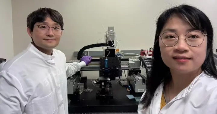 MIT团队发明可黏附神经的电子器件，解决植入器件纤维化难题