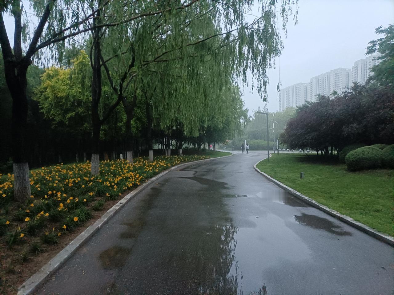 未雨先绸缪————

在你不缺钱的时候存钱，在健康的时候锻炼，在你不考试的时候学