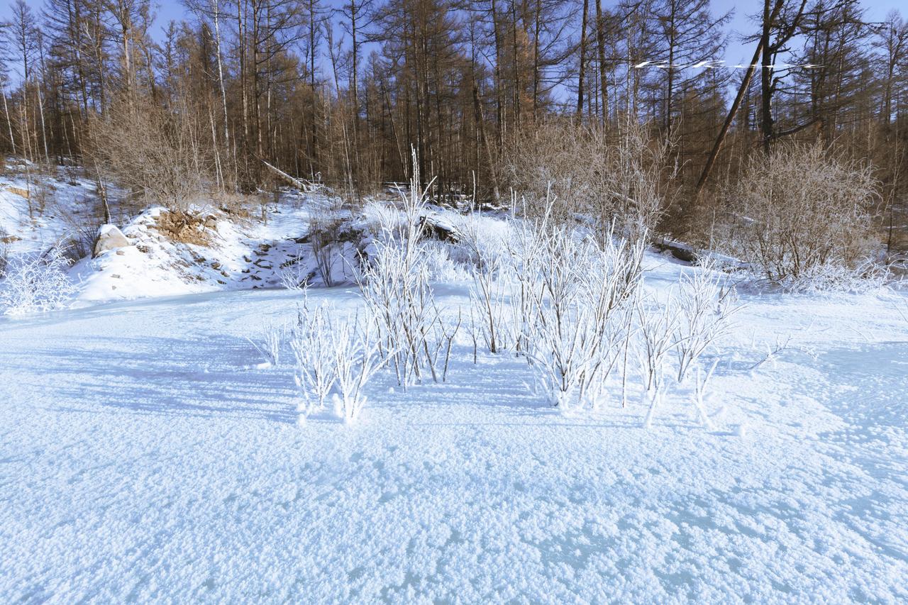 库尔斯克的决战将在今年寒冬中进行，乌克兰拼死保住库尔斯克既占领土，俄军拼死也要全