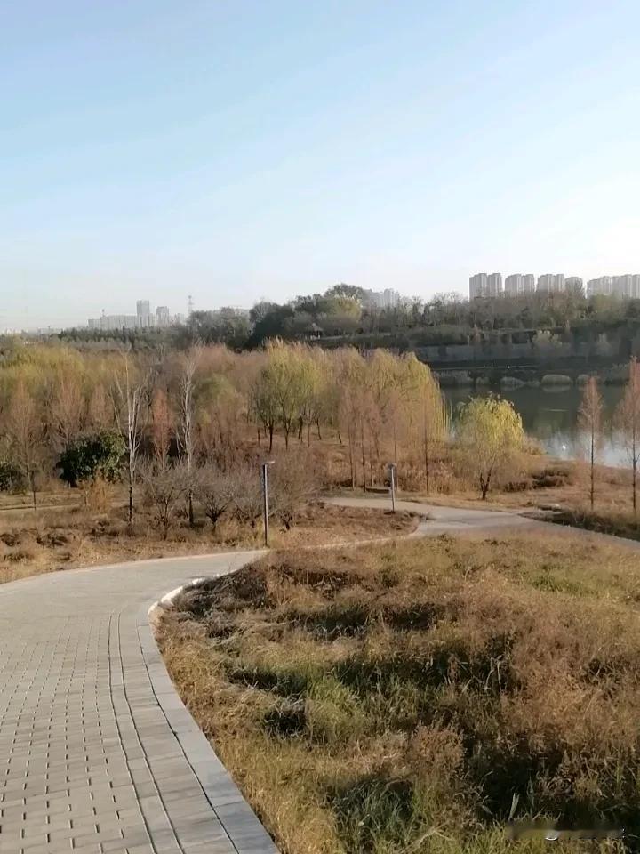 顺着向下的坡路，可以到达佛光寺，然而，经过湖畔水面的时候，你可以看到大雁在水中徜