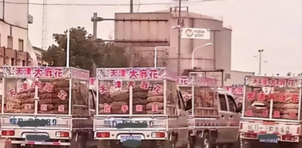 2000年，神秘组织“天津大麻花”，明明没人买却走遍全国，如今才彻底明白，里面竟