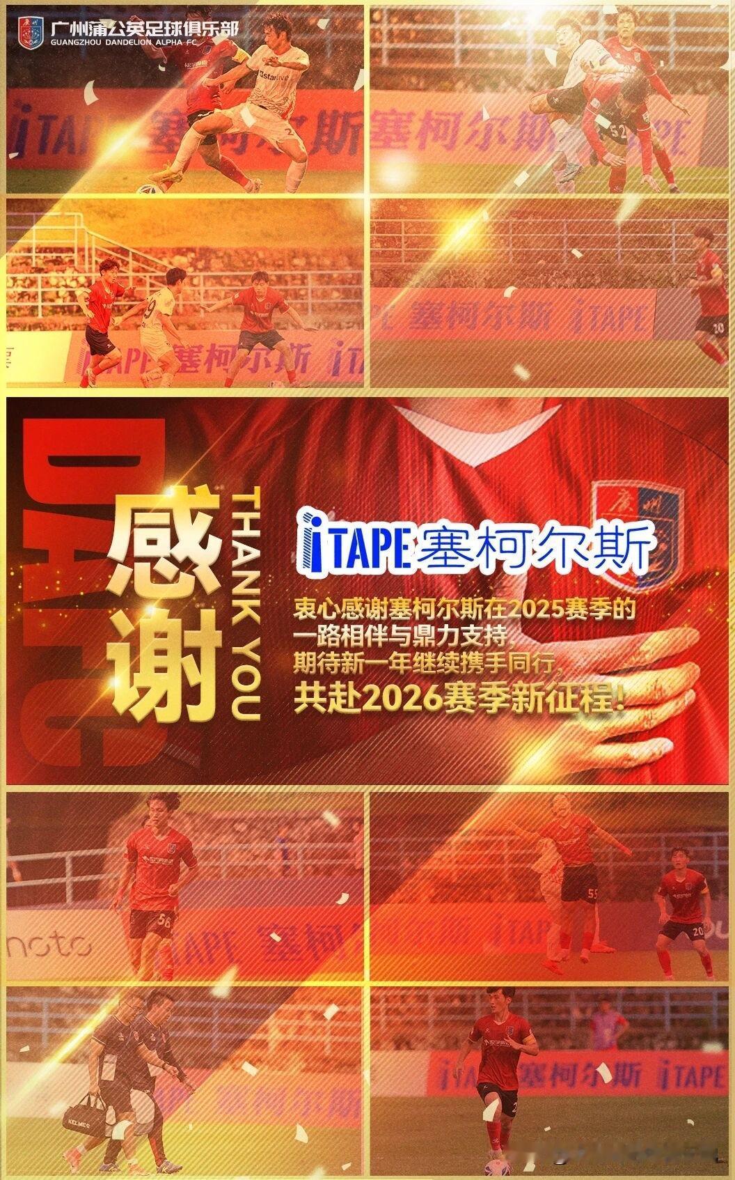 必须感谢，塞柯尔斯老板承诺新赛季新品投放首选广州蒲公英，递进式合作有3点升级：