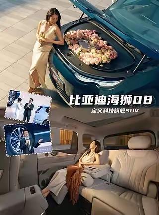 座驾选比亚迪的明星都有谁？
 
1. 贾静雯｜腾势D9
​
2. 林更新｜腾势D