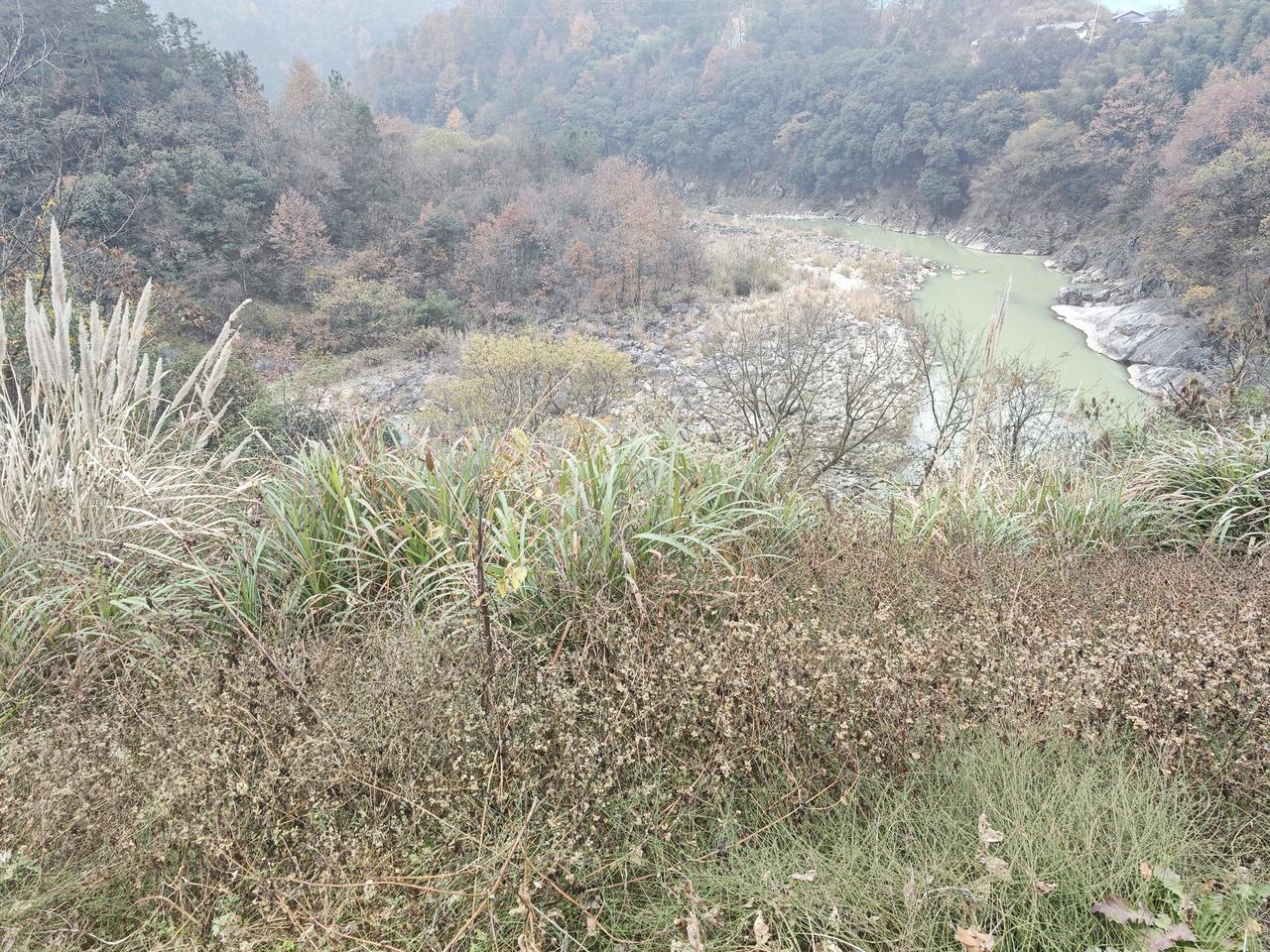 霜风卷着枯叶掠过街角，日历终于翻到最后一页。十二月的冬意不再是试探，而是铺天盖地