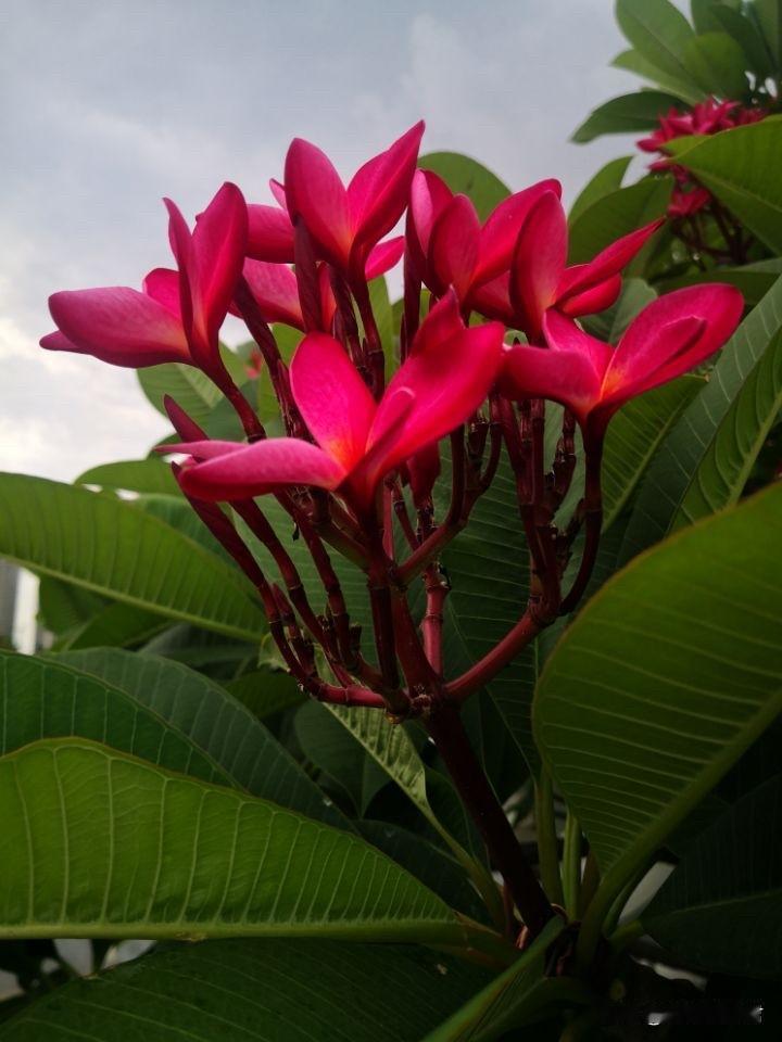 女人一定要活的通透一点，太较真很难幸福的！一女子，45岁，和老公有一儿一女，两孩