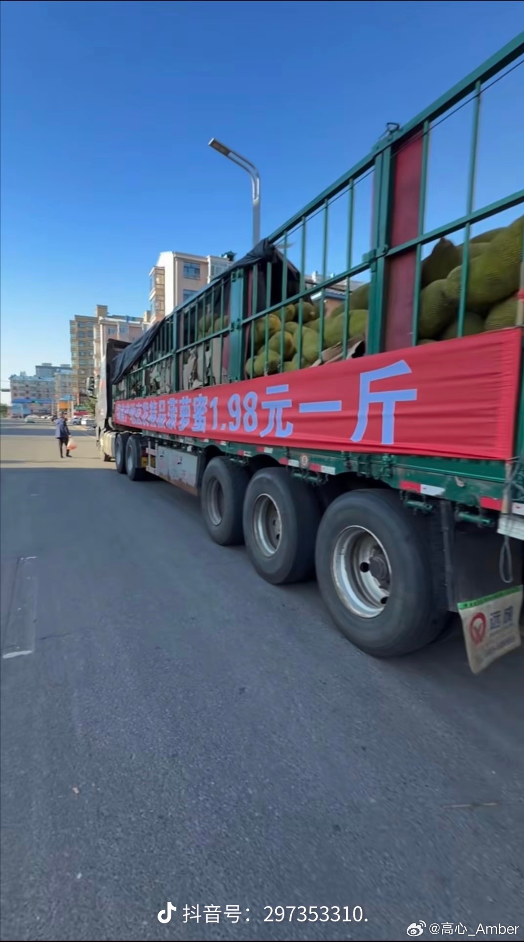哈尔滨全城追菠萝蜜价格打下来了，由原来2块9毛8降到1块9毛8一斤了在dy刷到好