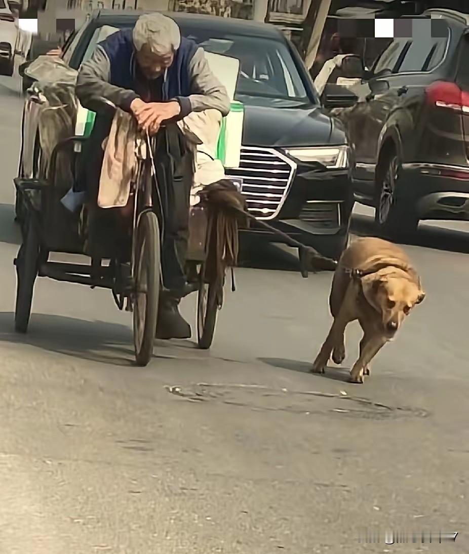 偶遇的一幕，瞬间戳中了无数路人的心窝。
 
一位头发花白的拾荒大爷，吃力的蹬着三