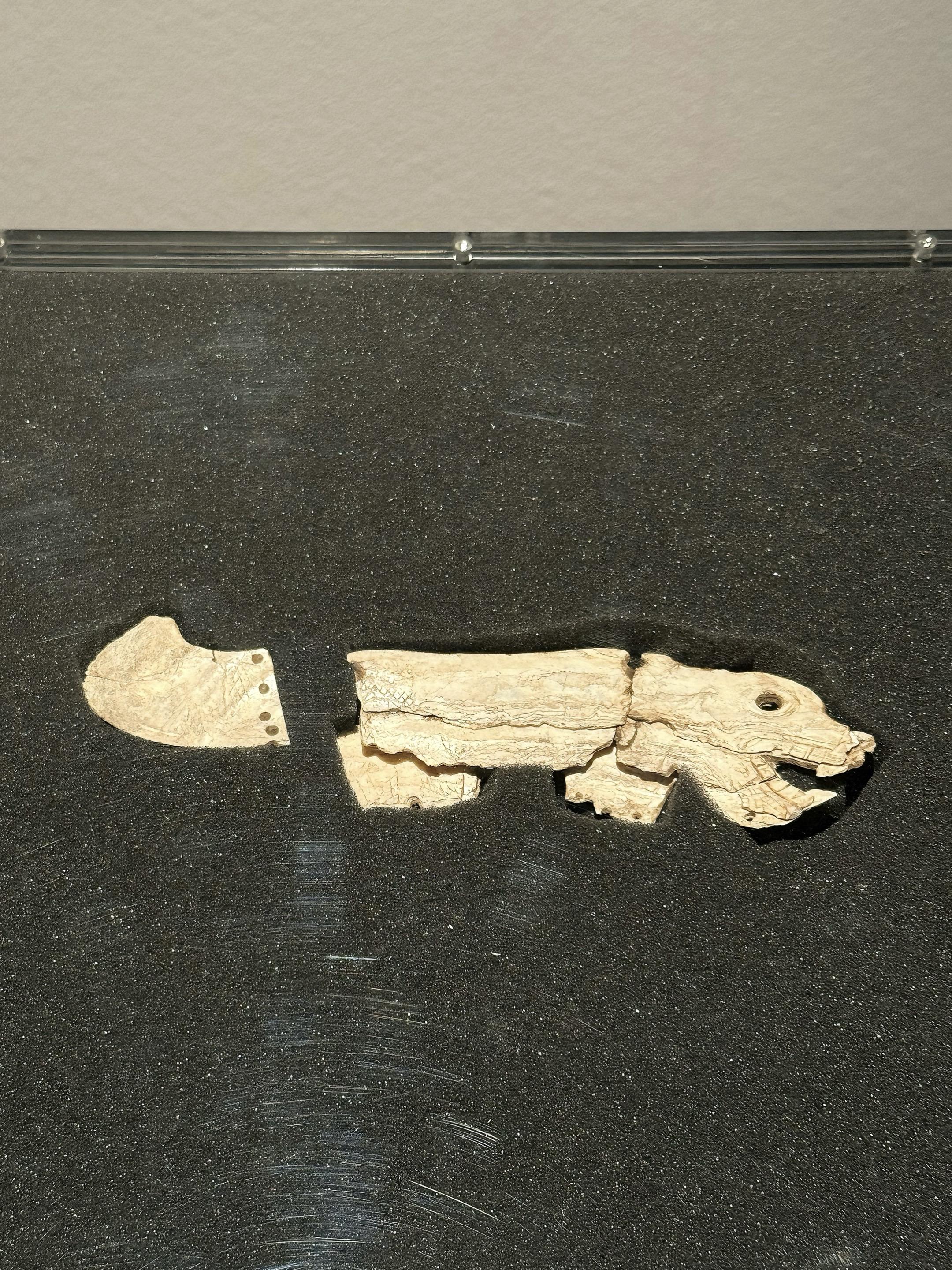 上海博物馆不白逛，看到了中华龙最早雏形！龙腾中国 自红山文化发现以来举...