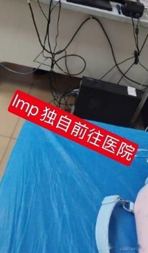 张桂源粉丝 lmp张桂源粉丝无底线追星！毫无责任心，lmp无妄之灾。放置被伤害者