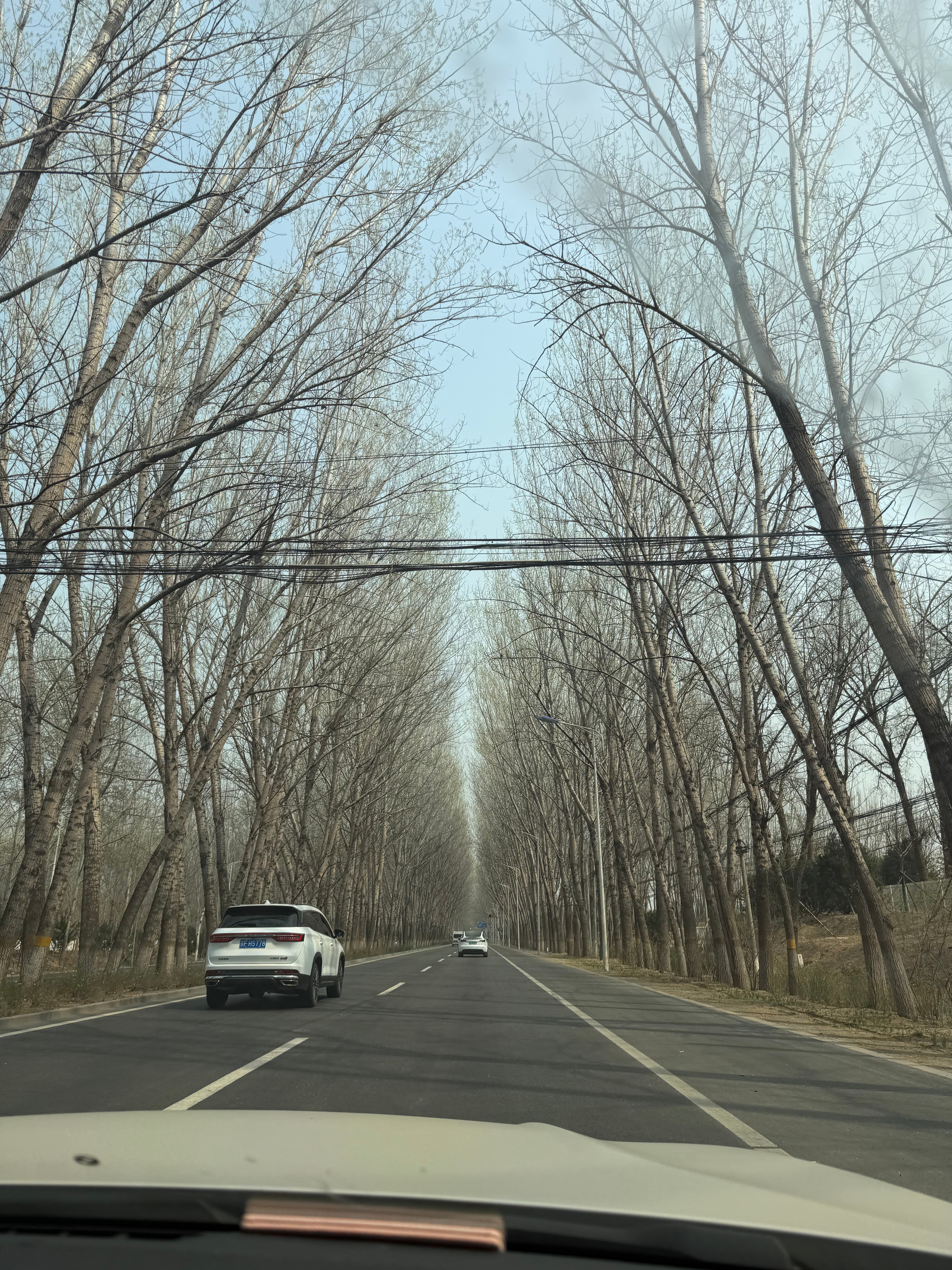 减肥瓶颈期来了一波放纵餐🐟🍖 北京·TABUHE COFFEE