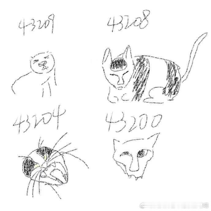 49884【丑猫】请鉴赏西部菱斑响尾蛇和歪嘴战神丑猫卢浮宫