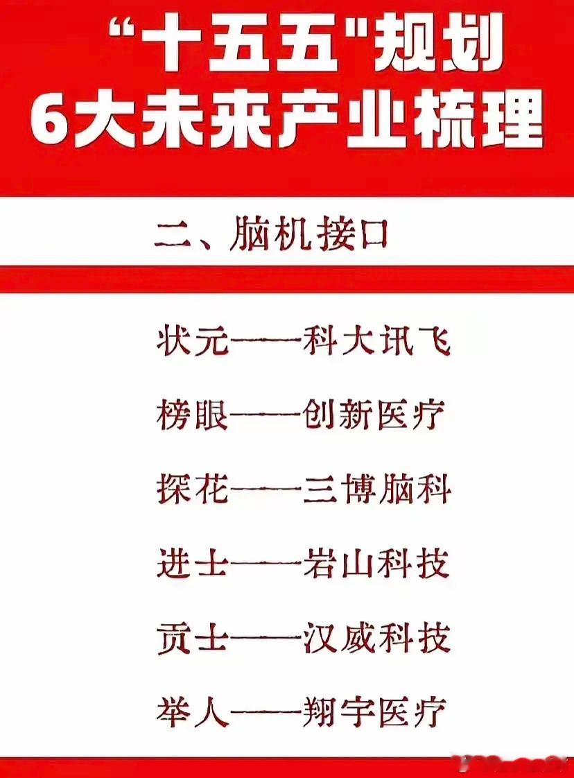 这是一份关于中国“十五五”规划中6大未来产业的梳理。每个产业都列出了6家代表性公