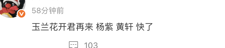 🍉《玉兰花开君再来》杨紫黄轩定了 ​​​