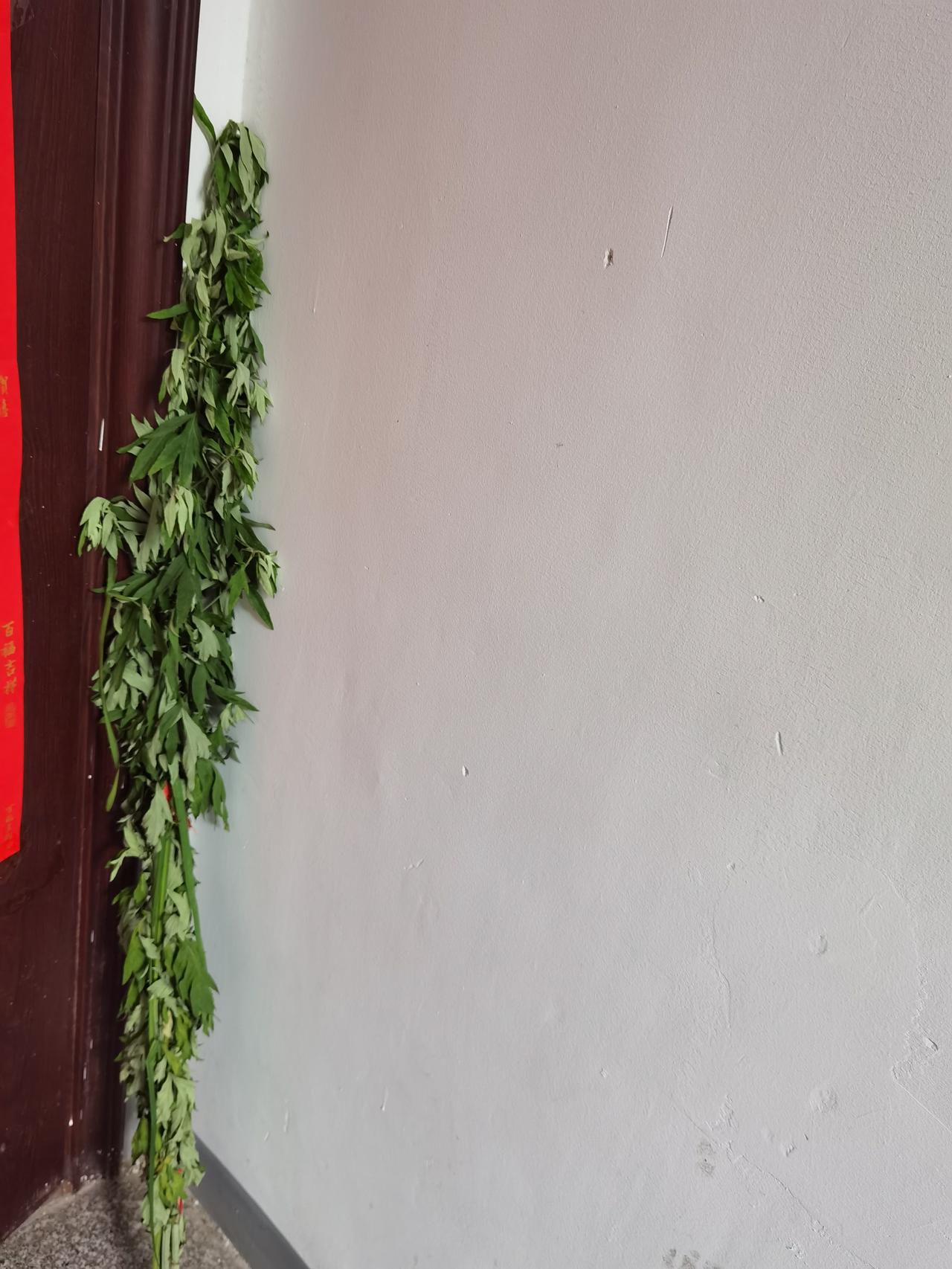 劝大家不要再买艾叶了。上午去菜市场买菜，看到路边有一对老夫妻俩在卖艾叶，我花了4
