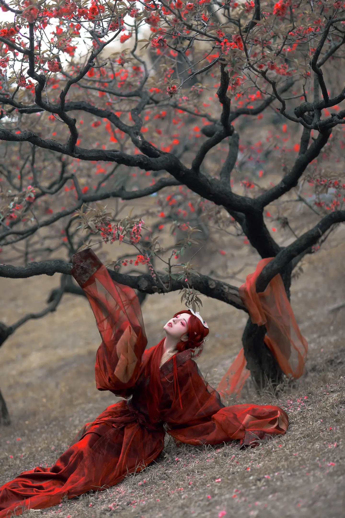 “朦胧见，鬼灯一面，露出桃花面”春天和 (西风) 拍的破败碧桃 红发新...