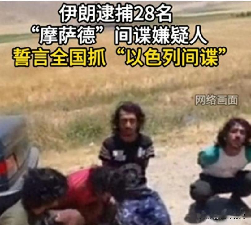 被以色列的摩萨德渗透成了筛子的伊朗，这回可算是狠下心来抓内部的间谍了。死了好几个