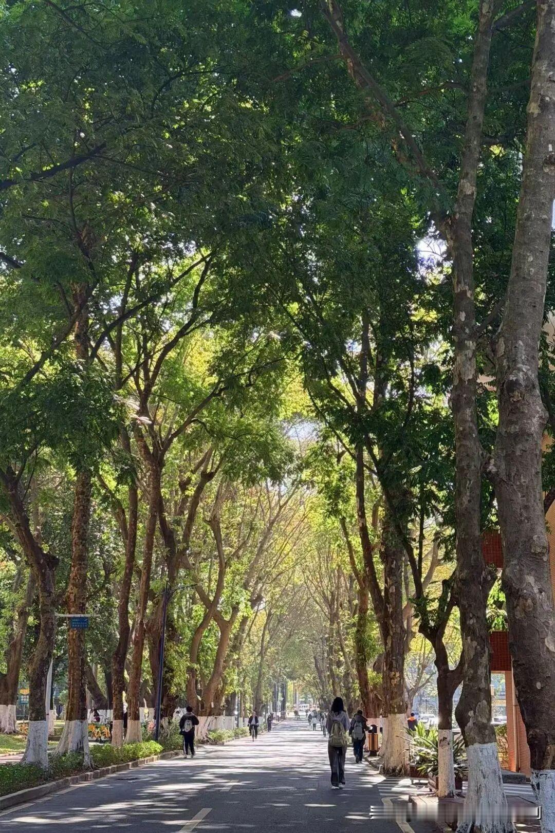 看图猜大学，去过这所大学的可以说出学校的名字。