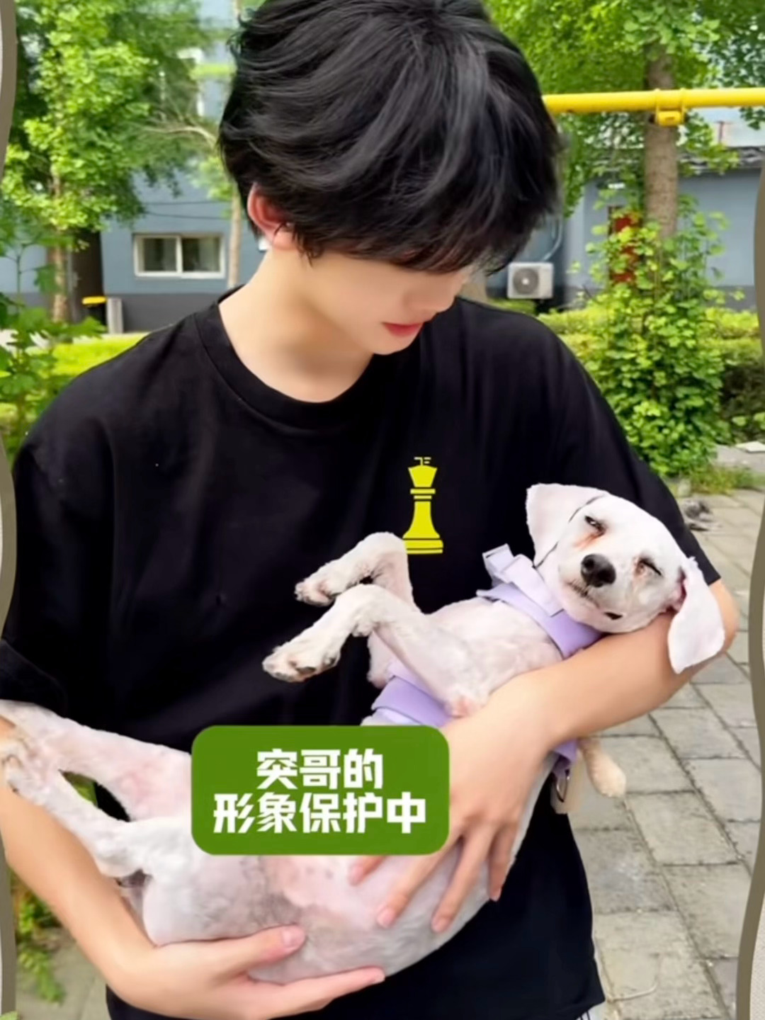 我还活着吗 