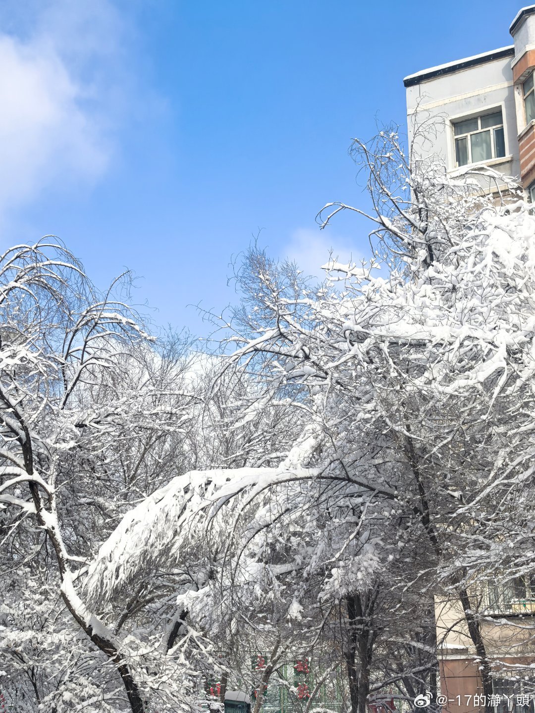  🌿ˎˊ˗𝐇𝐢𝐢𝐢✌︎ʺ̤今日宜开心🥳     烦恼全清退🧹 