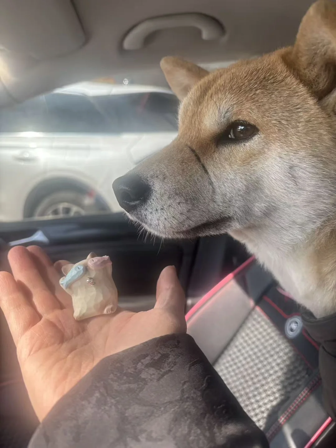 越狱小天才卖盲盒把自己嘎掉！