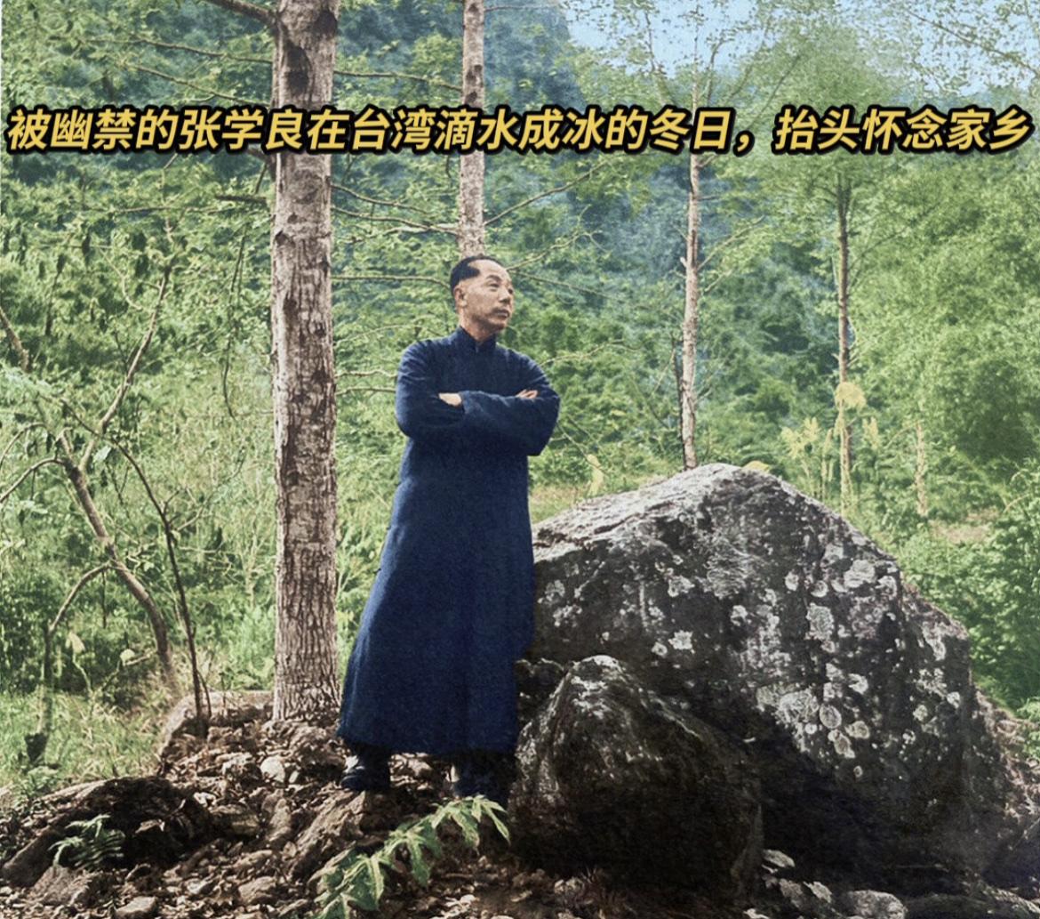 上世纪50年代，井上温泉的冬日格外严寒，张学良站在特务警卫室旁边的树林里，以巨石