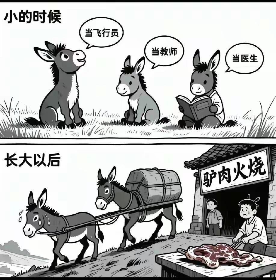 人生的终极意义和价值是什么？有人说是贡献，有人说是看尽世态炎凉。那么你的人生意义