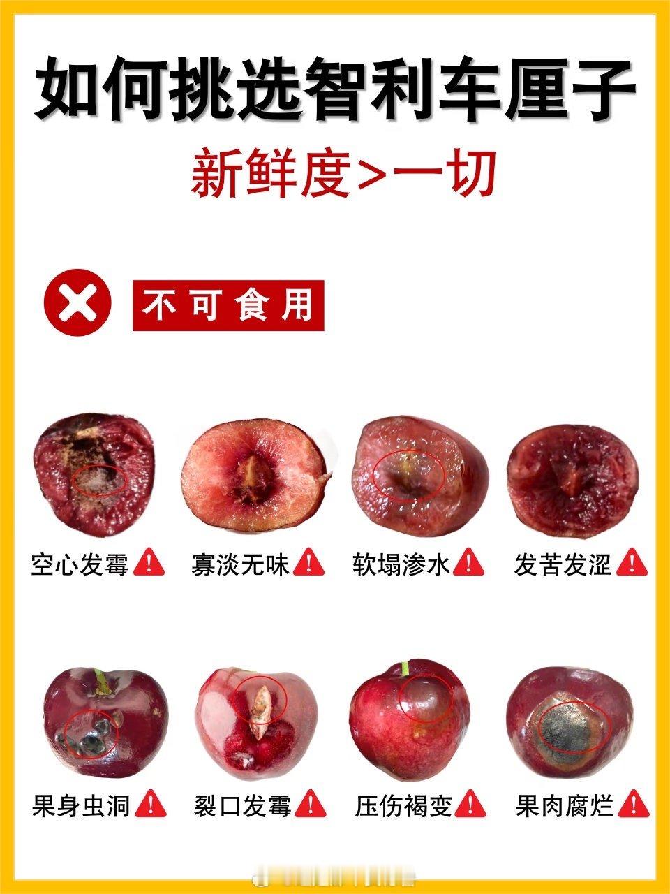 爱吃车厘子的人天塌了要这么看那真是吃了不少坏车厘子