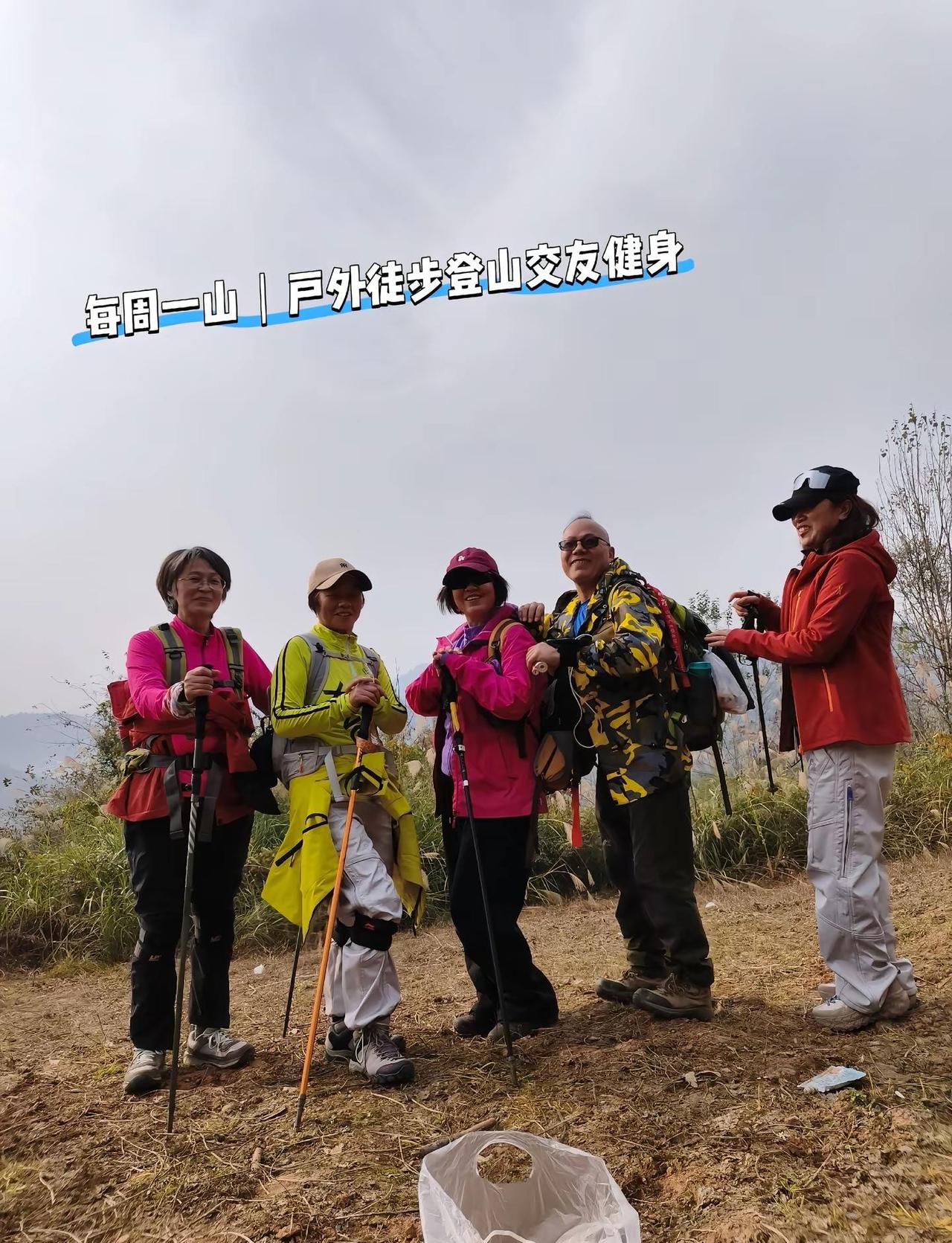 每周一山｜户外徒步登山健身交友。🌿成都1h直达的森林秘境！崇州斜阳村徒步太治愈