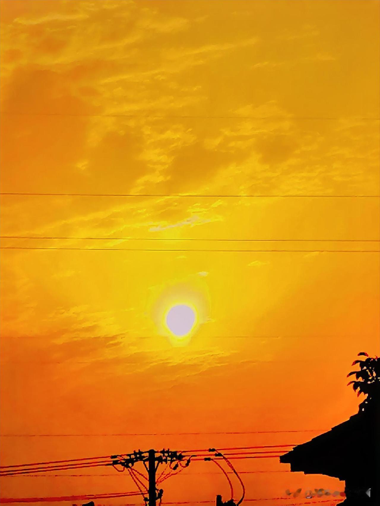 《火红的太阳（李林6月6日摄于汉中城固）》