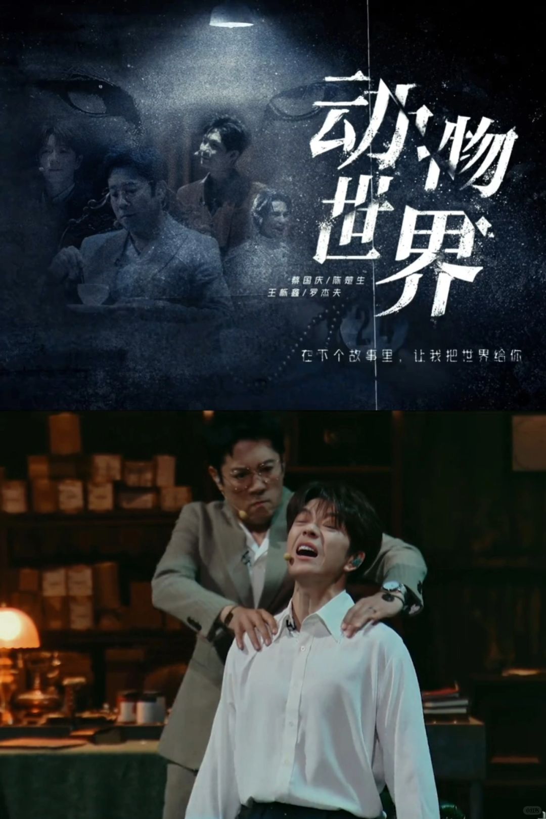 🔥披荆斩棘五公舞台《动物世界》太炸裂了‼️