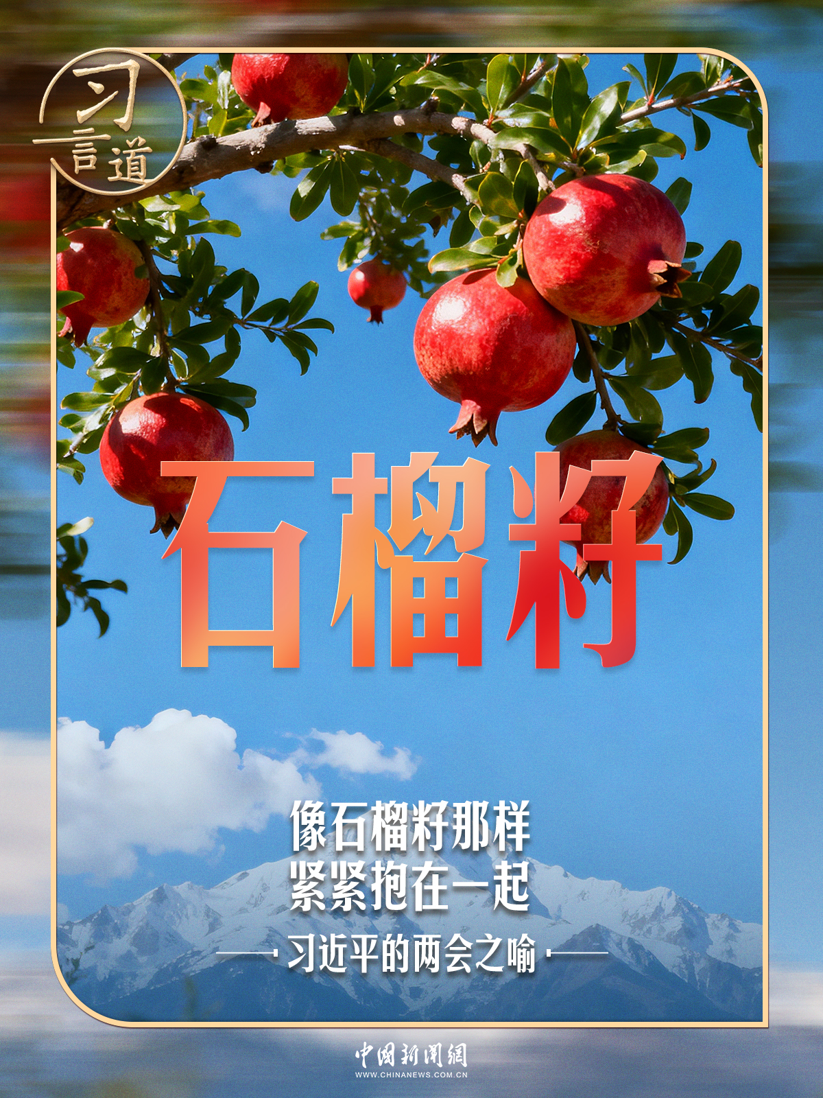 习近平的两会之喻|像石榴籽那样紧紧抱在一起