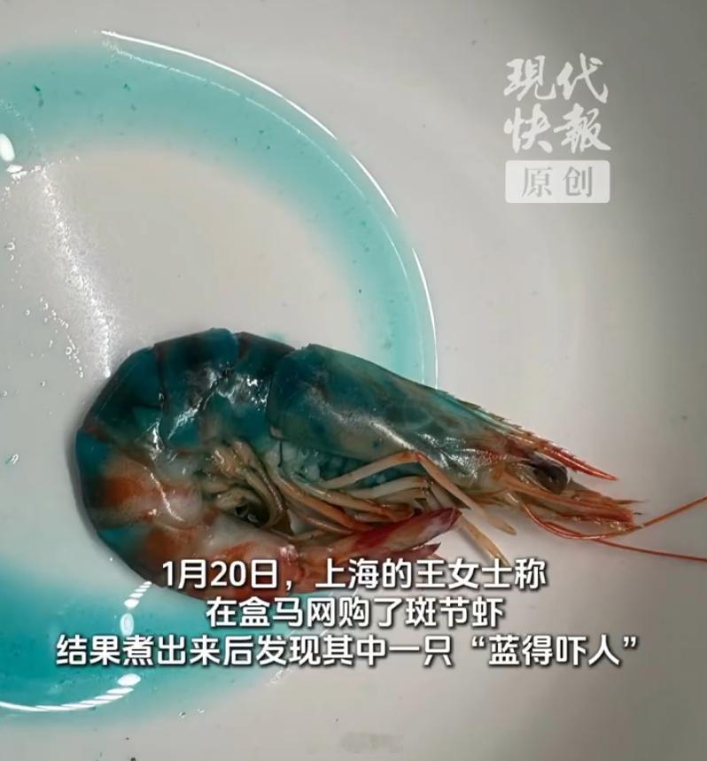 这虾蓝的不正常了吧，还出现了颗粒状的东西。客服居然说不影响食用，实际上这种情况就