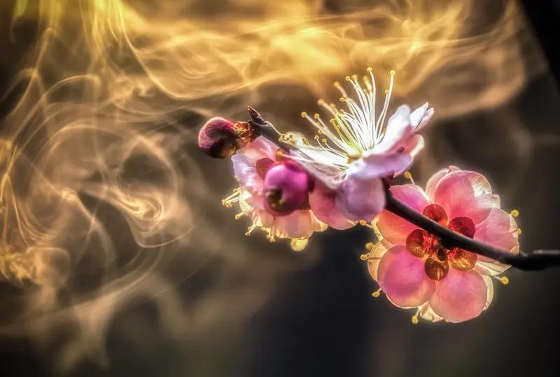 上联：秋乘落叶去，求下联：…？春伴暗香来。