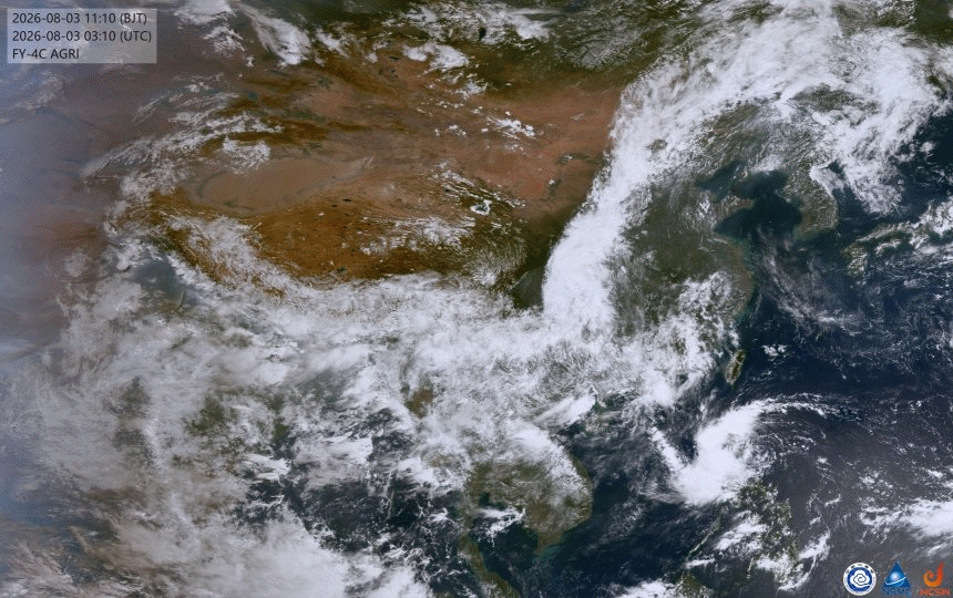 【强降雨和强对流】今天08-14时，我国降水主要在华南以及云南到内蒙古一带。降水