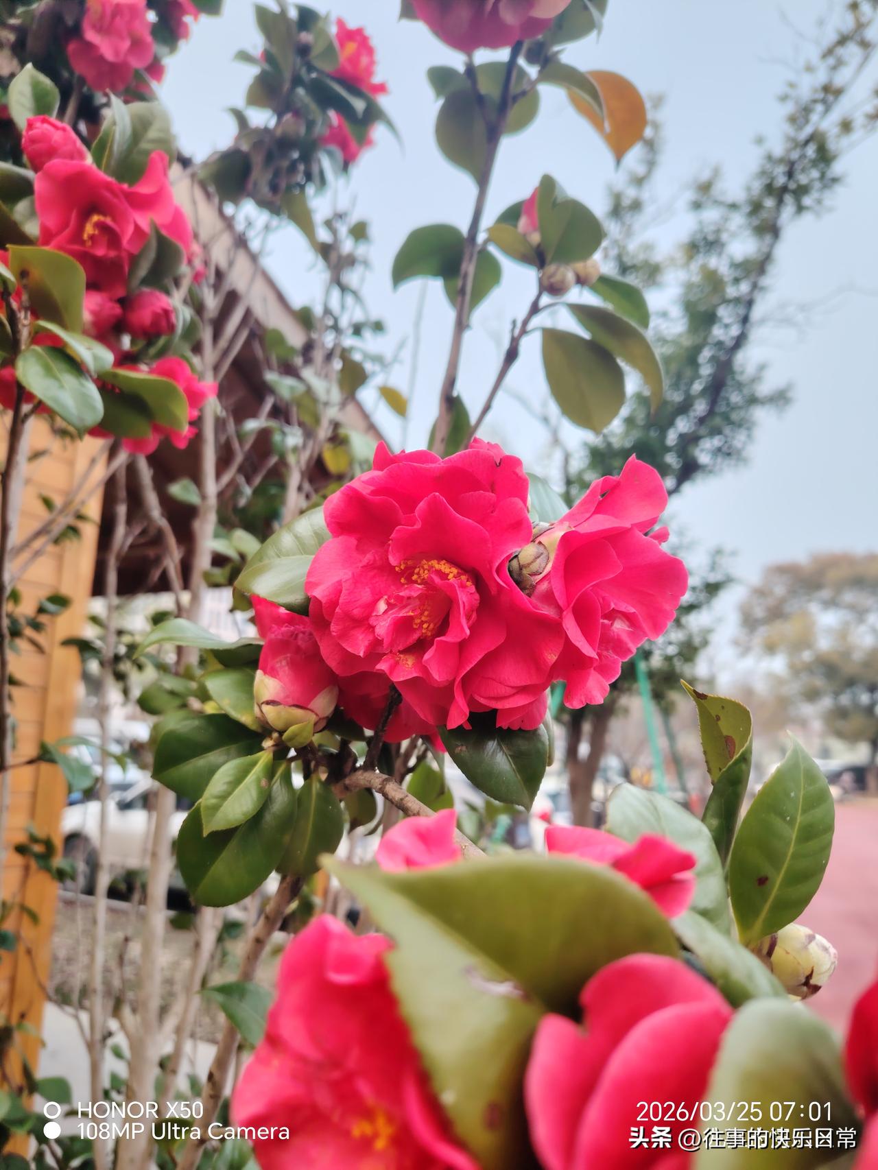 你觉得养儿子最需要注重什么注重孩子的世界观的培养