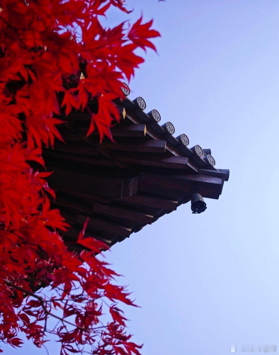 翁同龢的后人翁万戈，这一手操作属实是把不少人给整沉默了。几百件传家宝，整整235