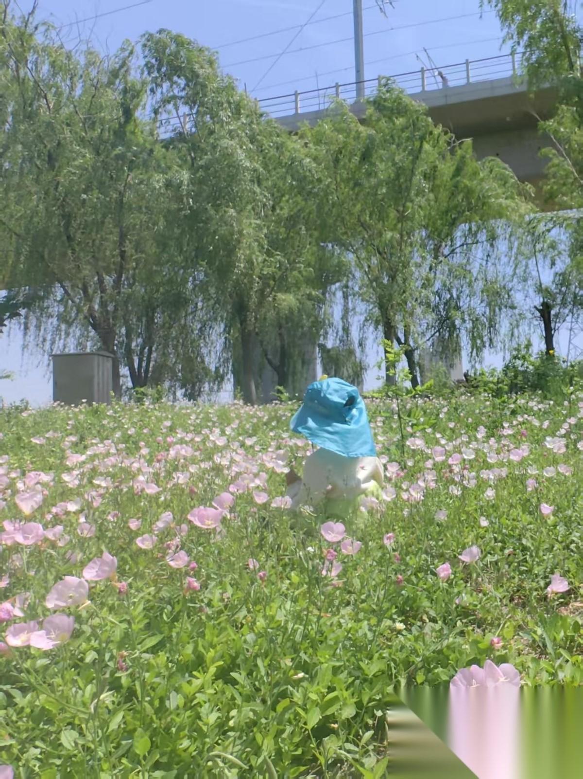 读高二的儿子很浮躁：“妈，我在学校累的跟驴一样，放假回家了老师还整一堆试卷，我不