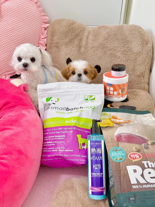 双狗家庭极简养狗版