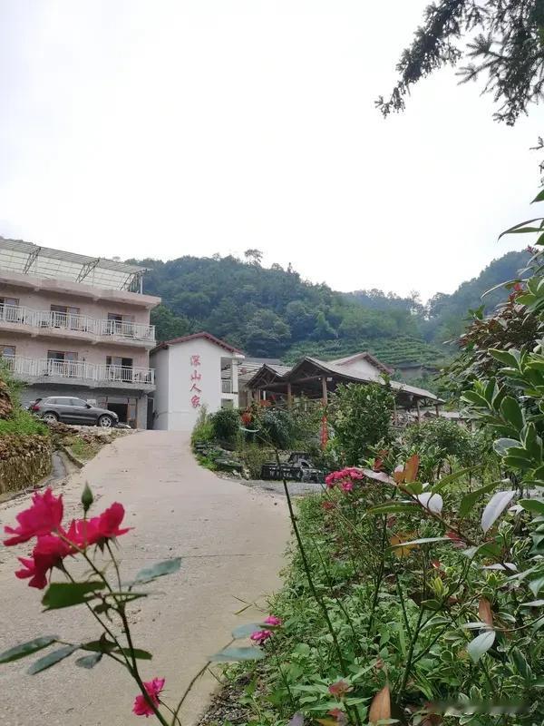 曾家山有不少包吃住的好农家乐。像森林雪农家乐就挺不错，它环境清幽，周边绿树环绕，