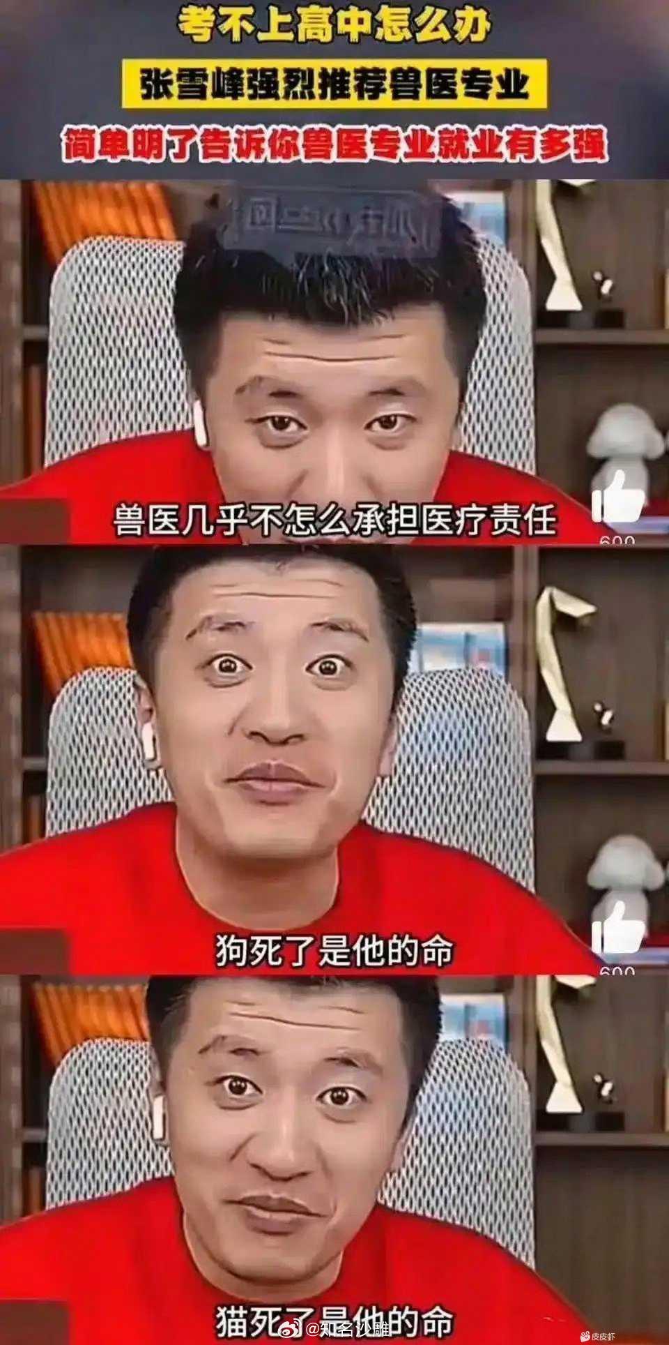 说的没毛病 