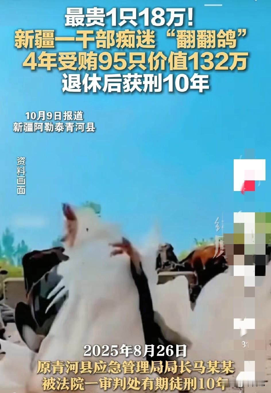 现实中的“宇宙区长孙连城”
腐败是因为鸽子。
马局长收取鸽子95只，
价值132