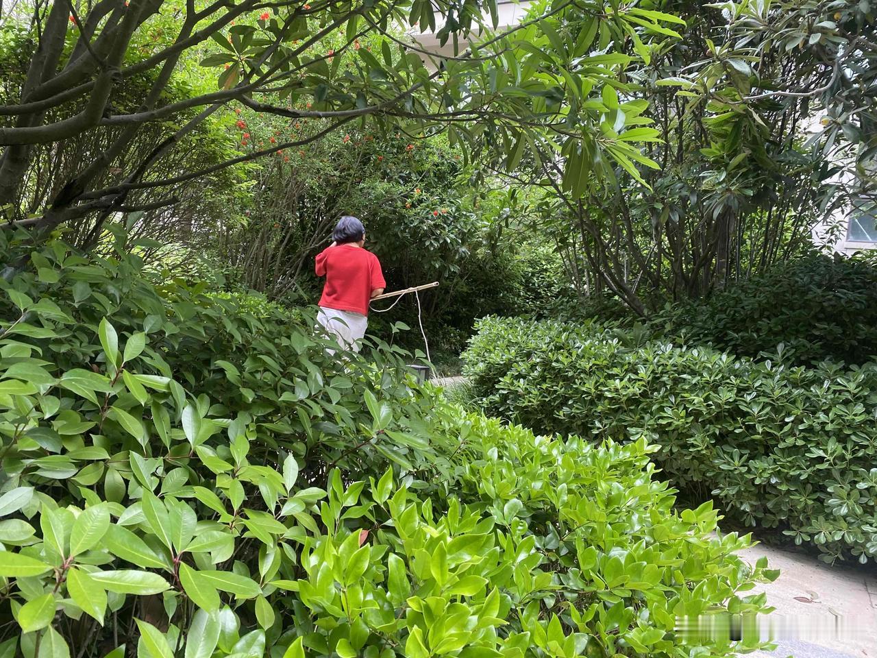 真心话茶局在绿意盎然的公园里，享受悠闲的午后时光。